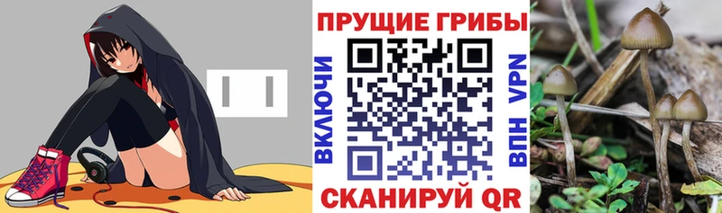 Галлюциногенные грибы Magic Shrooms Горбатов
